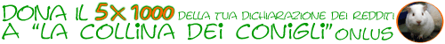 Dona il 5x1000 a La Collina dei Conigli!