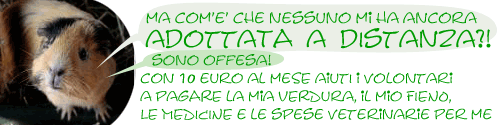 ADOTTAMI A DISTANZA!
